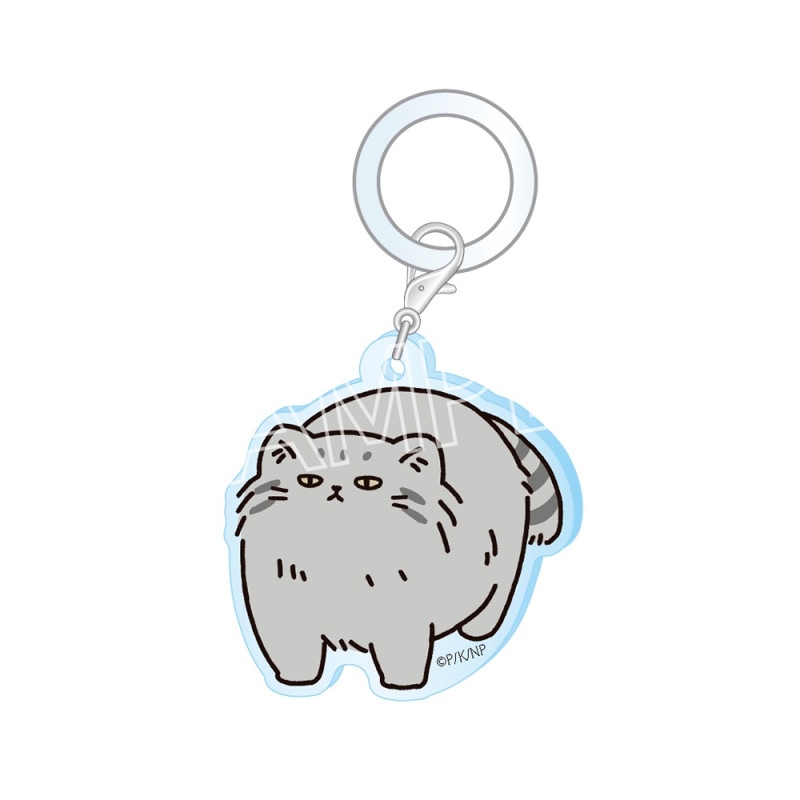 うごく！ねこむかしばなし　おしのびチャーム　D