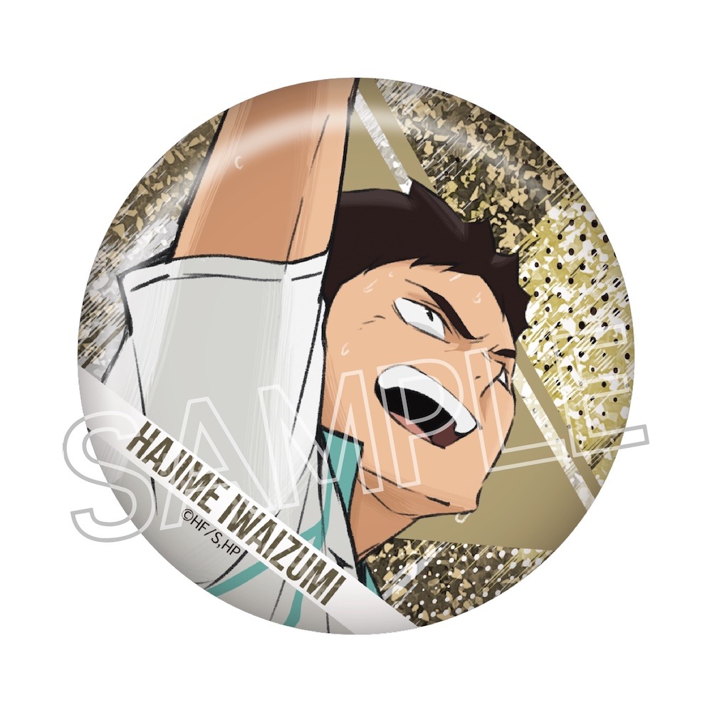 ハイキュー ダッシュ　シャイン　缶バッジ 6box ハイキュー!! シャインシリーズ キラキラ缶バッジ BOX（6個入