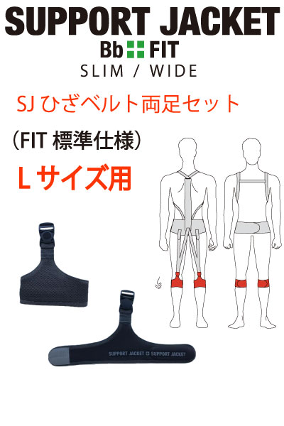 ��SUPPORTJACKET��FITɸ����ۤ͡Ҥ��٥�� L