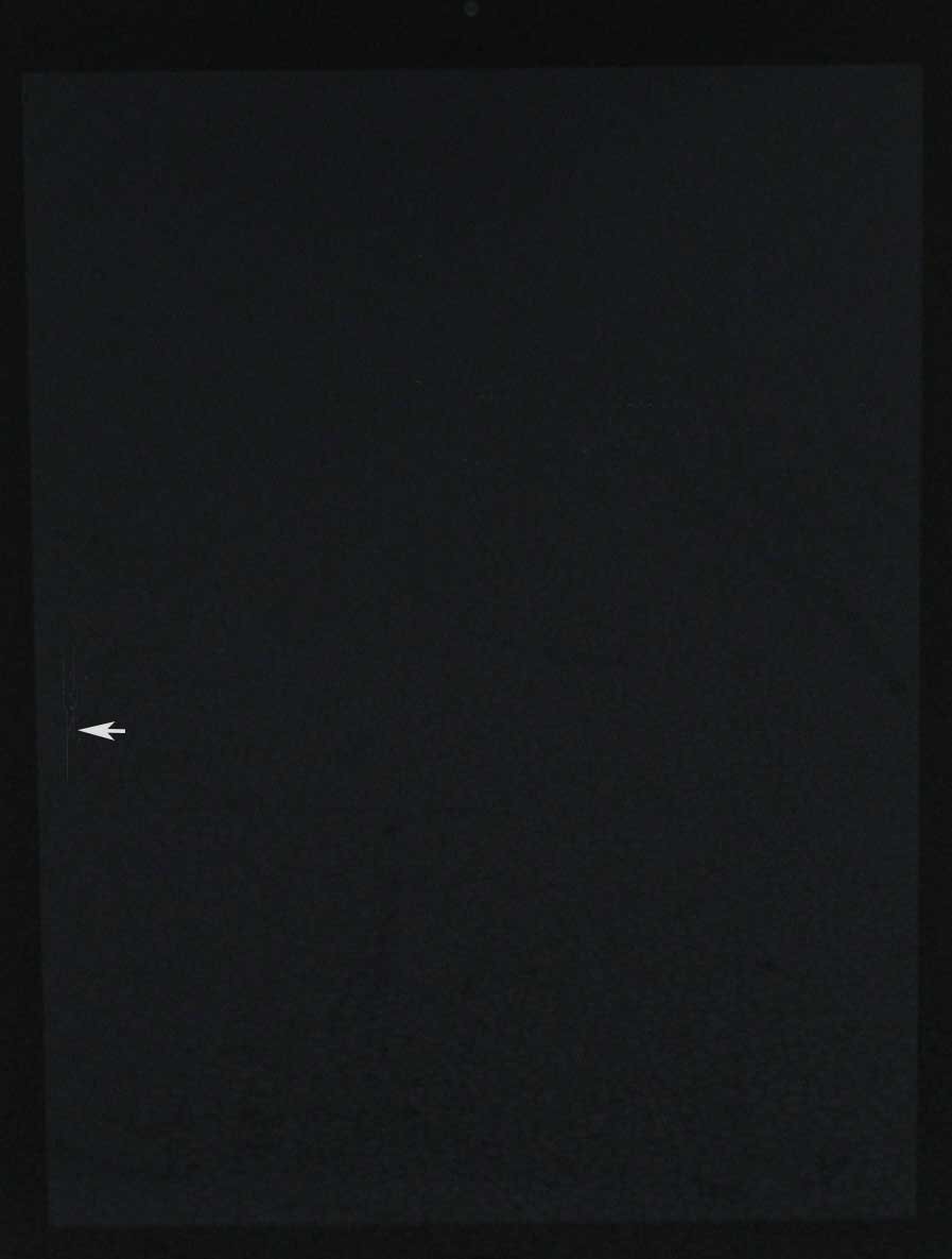 M-2811/Apple iPad Air MD785J/B ��1���� Wi-Fi��ǥ� 16GB ���ڡ������쥤 iOS 12.5.8 ��� Macintosh ���֥�å� #10