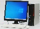 X-135/ٻ ESPRIMO D551/GX FMVD0502 celeron YouTubeǽۡڥե Word ExcelۡDVD ư ®SSD 19 վå Windows10 ǥȥåPC