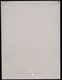M-2833/Apple iPad Pro MQDT2J/A ��1���� Wi-Fi��ǥ� 64G iPadOS17.7.10 ��� Macintosh ���֥�å� #40