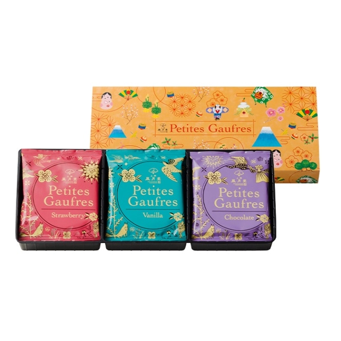 専用❤️速達付き同梱-400円コノフィツム　ウィッテベルゲンセ 鉢のまま お試し・プチギフト