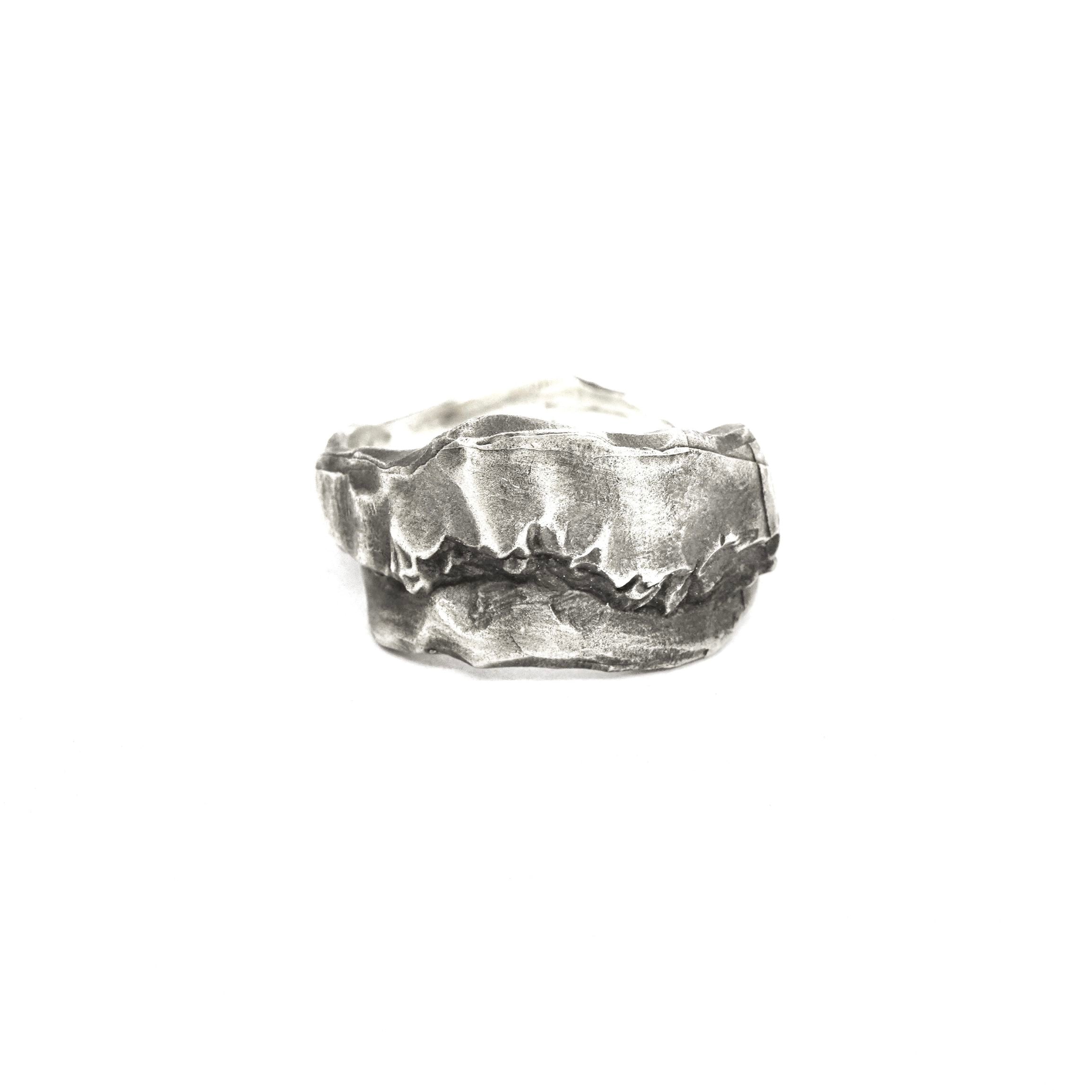 【美品】VAINON VAINON Cracked Ring専用ケース 証明書付 Ring | VAINON