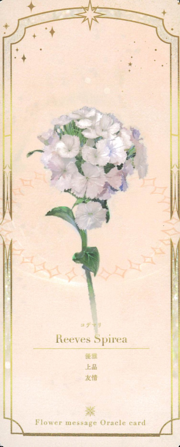 Flower Message Oracle Card/Flower Message Oracle Card〈四ヶ国語版〉