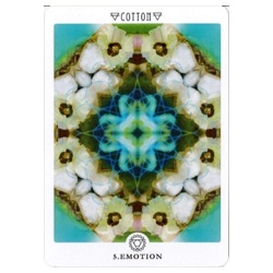 Flower Mandala Cards / 花曼荼羅カード