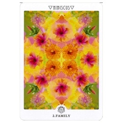 Flower Mandala Cards / 花曼荼羅カード