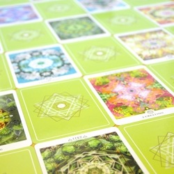 Flower Mandala Cards / 花曼荼羅カード