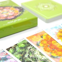 Flower Mandala Cards / 花曼荼羅カード