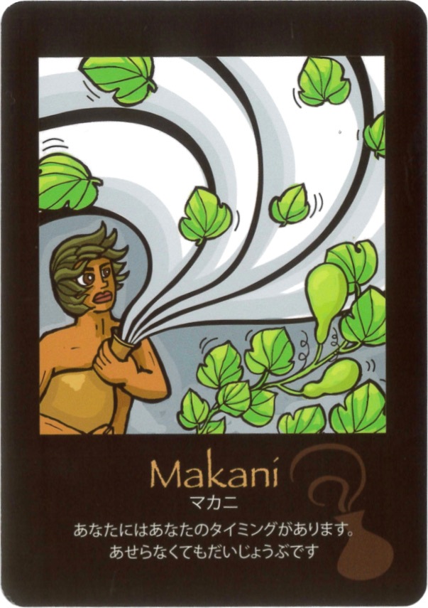 Hawaian Cards / ハワイアンカード