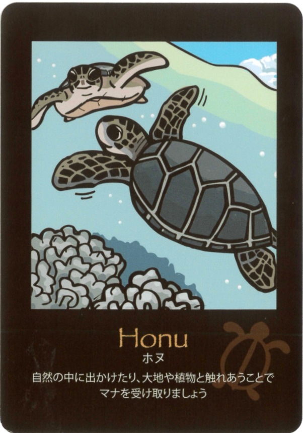 Hawaian Cards / ハワイアンカード
