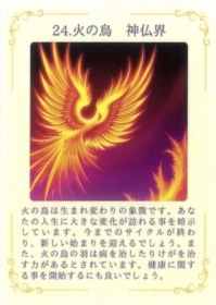 Guidance Oracle Cards/ 道標の神託カード