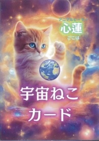 Space Cat Oracle Cards / 宇宙ねこカード