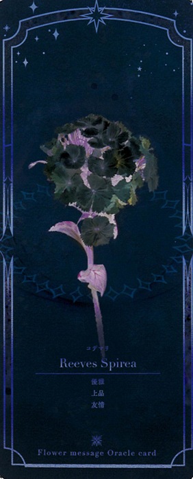 Flower Message Oracle Card〈New edition〉/フラワーメッセージ