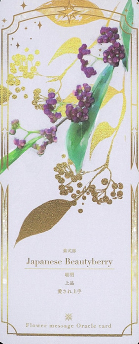新品 フラワーメッセージオラクルカード 新装版 Amazon.co.jp: Flower Message Oracle Card Ⅰ〈新装版