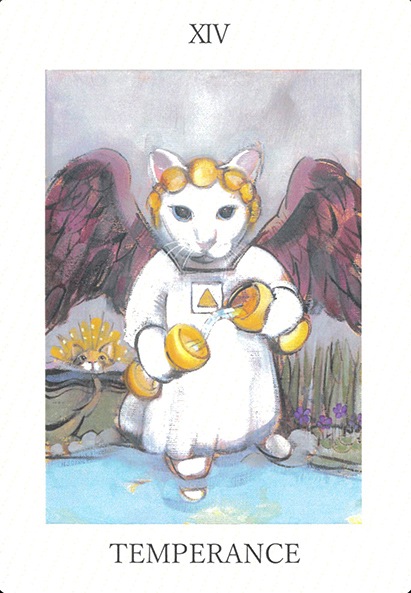 Cat Tarot/ねこタロット