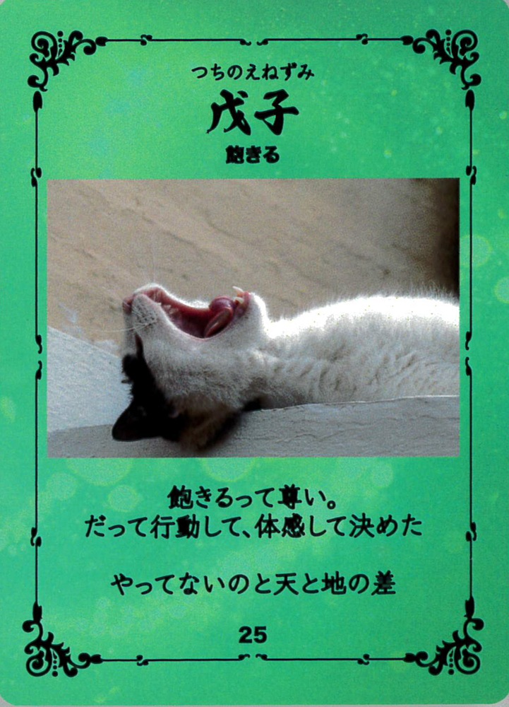 Oriental Zodiac Oracle Cards vol.1/干支オラクルカード vol.1