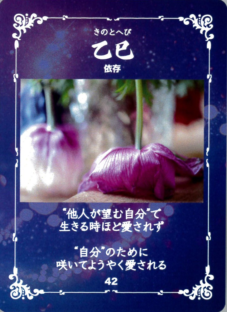 Oriental Zodiac Oracle Cards vol.1/干支オラクルカード vol.1