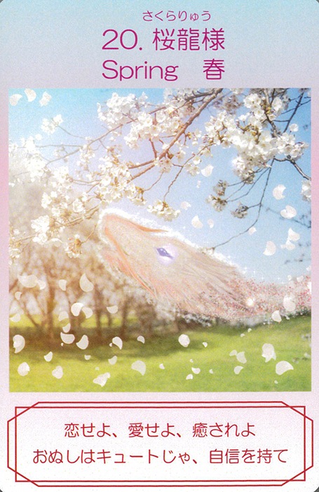 Dragon Healing Oracle Cards/龍様のヒーリングオラクルカード