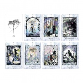Long Soul Journey Geomancy / ロングソウルジャーニージオマンシーカード