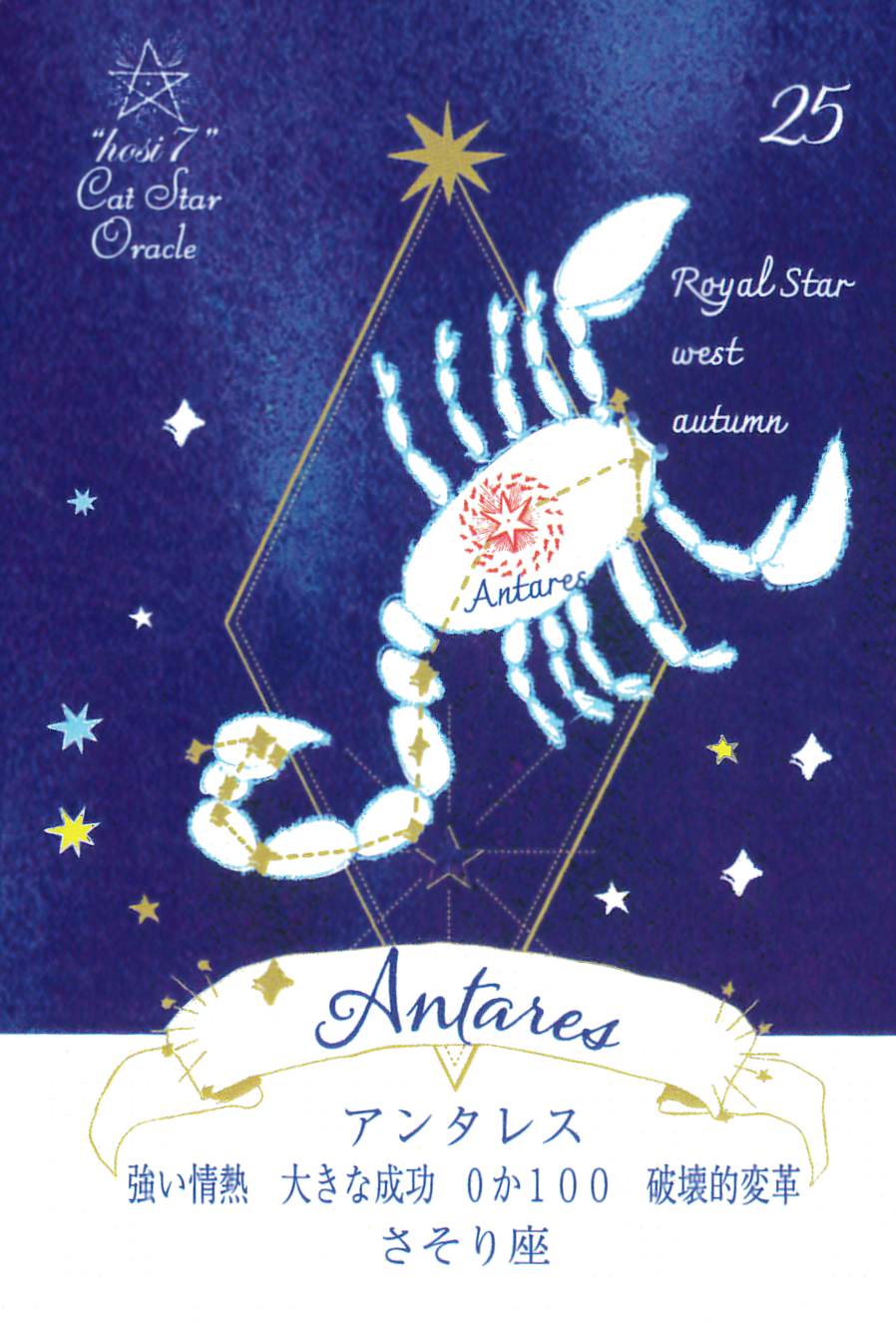 hosi7 Cat Star Oracle/hosi7キャットスターオラクル