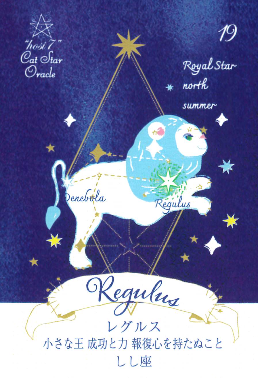 hosi7 Cat Star Oracle/hosi7キャットスターオラクル