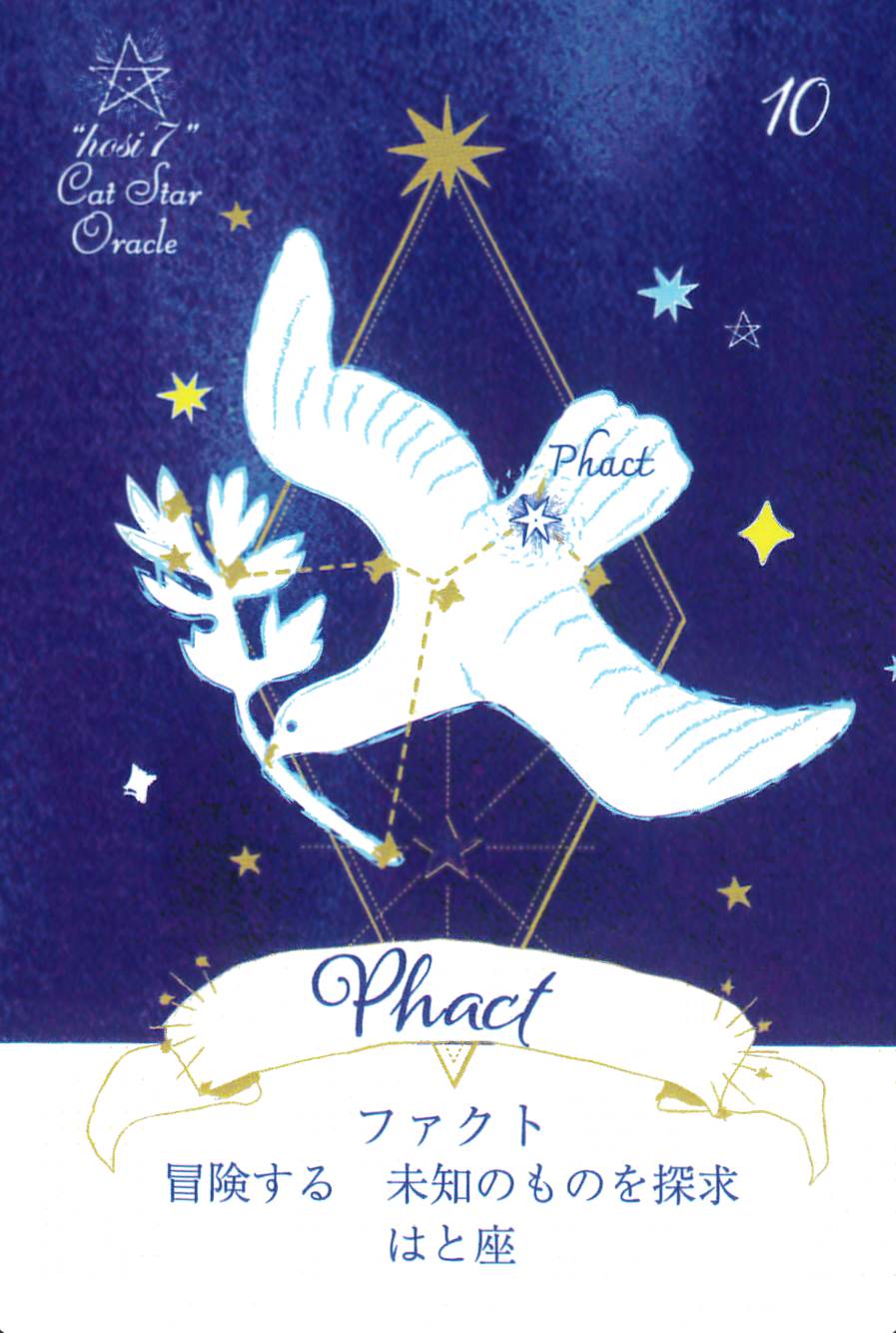 hosi7 Cat Star Oracle/hosi7キャットスターオラクル