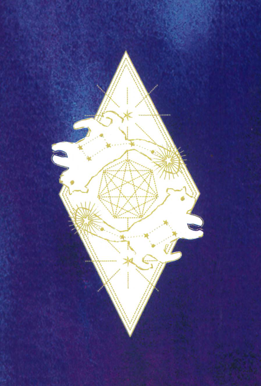 hosi7 Cat Star Oracle/hosi7キャットスターオラクル