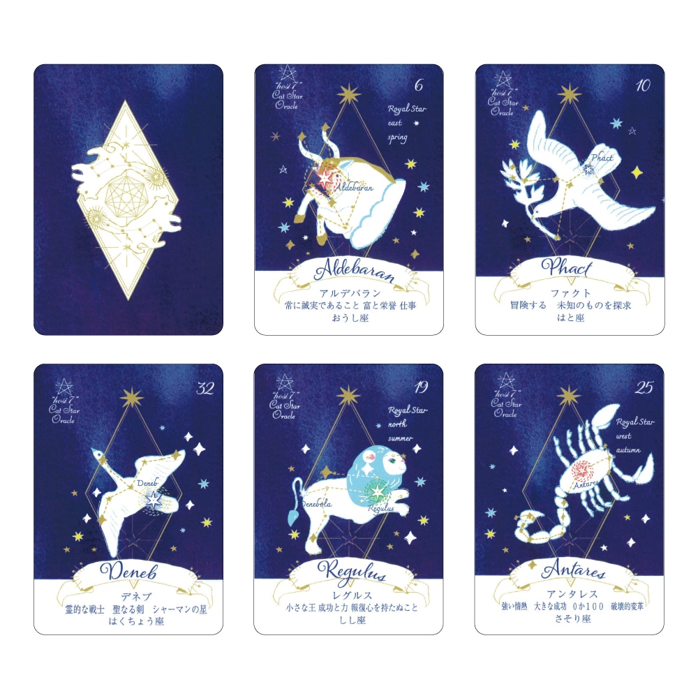hosi7 Cat Star Oracle/hosi7キャットスターオラクル
