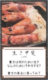 Ebisu Shrimp Oracle Cards / 海老好（えびす）カード