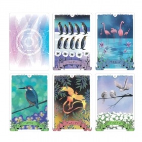 Bird Oracle / バードオラクル