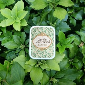 Gentle Lenormand / Gentle Lenormand（ジェントルルノルマン）