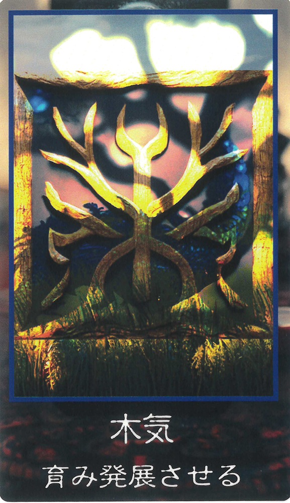 Magagotohu Negative Incident of Qliphoth Five Energy Cards/禍事符