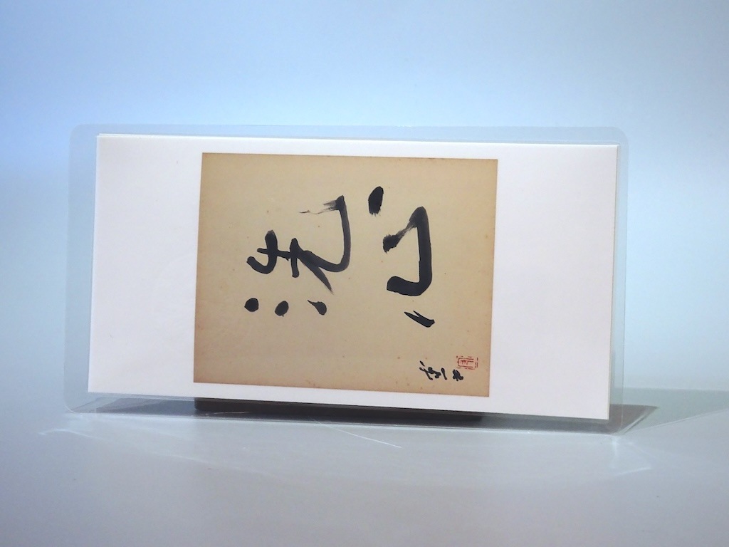 ��ë��졡��������