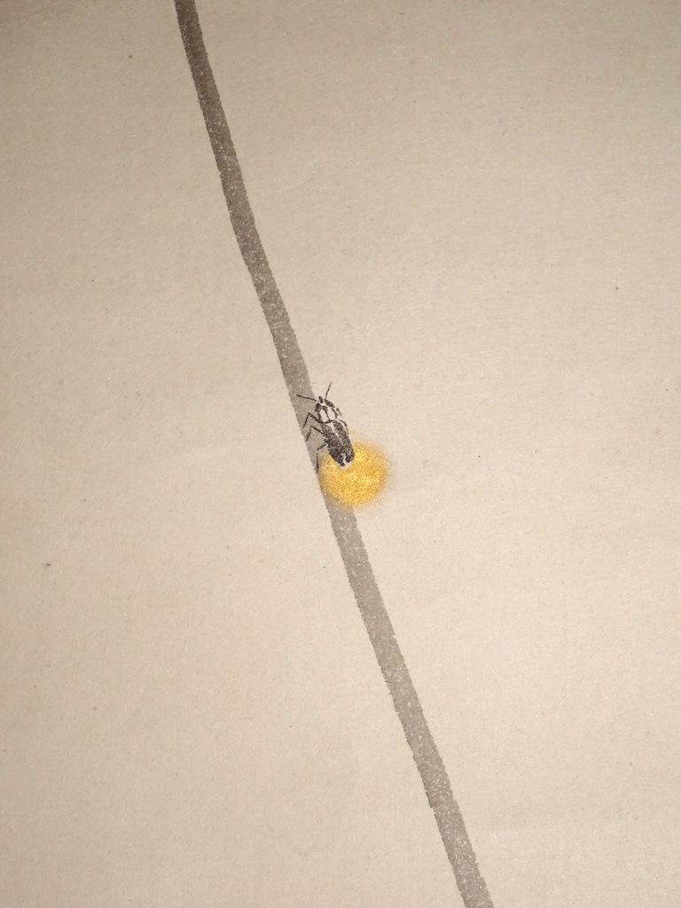 ��¼�� �������