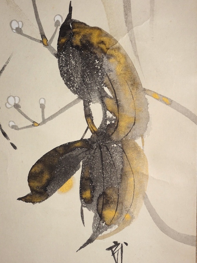 ��¼�� �������