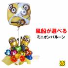 Ӥ˹碌ƥХ롼٤ץۥߥ˥ ץ Х롼󥮥ե