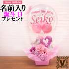 �������ץ쥼��ȡ��ԥ󥯥ץꥺ�ࡡ/���С����ǡ� �ץ쥼��� ̾���� �Х롼������ ���륯�ե� �Х롼�󥮥ե�