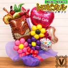 �ϥ磻���󥫥ե� ��Ź�ˤ� ��ǯ�ˤ����ȥ��ԥ���ƥ��� �Х롼�󥮥ե� 