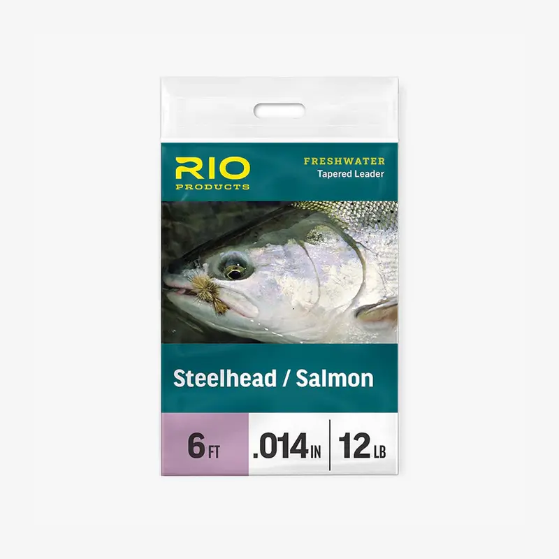Steelhead Salmon Leader