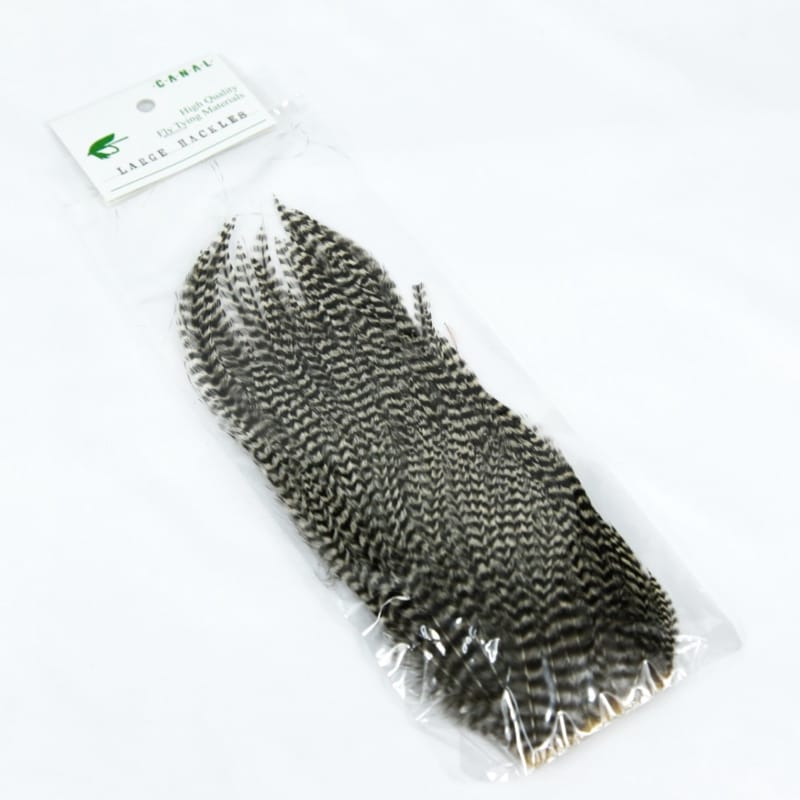 LARGE HACKLES