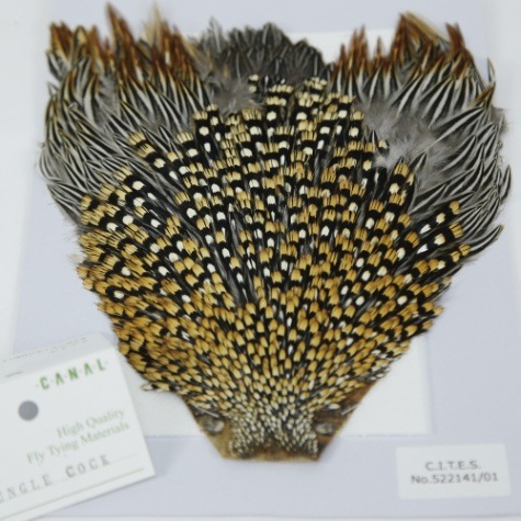 JUNGLE COCK | ブランドから探す,CANAL,マテリアル | WALTON'S INC