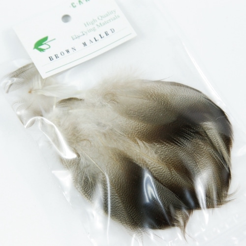 BROWN MALLARD Bluk Pack