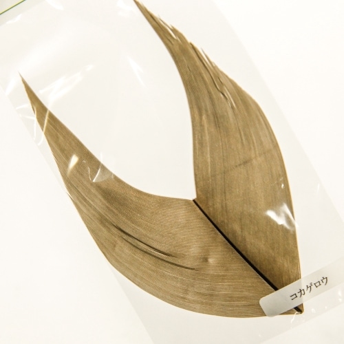 CRANE  QUILLMAYFLY  BODY