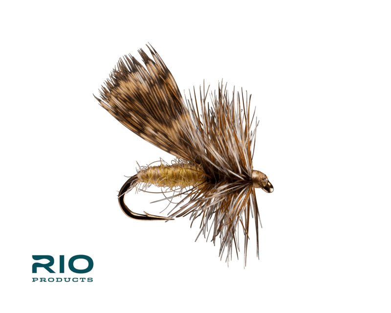 Spent Partridge Caddis