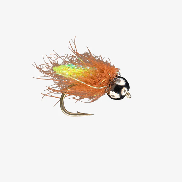 Pupa Scoopa TB