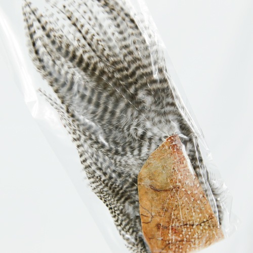 フライマテリアル　CANAL LARGE HACKLES LARGE HACKLES | ブランドから探す,CANAL,マテリアル | WALTON'S INC