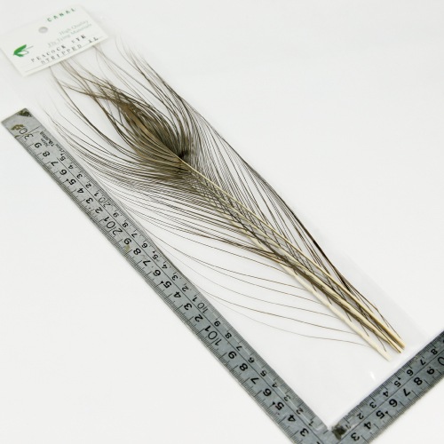 STRIPPED PEACOCK EYE XL