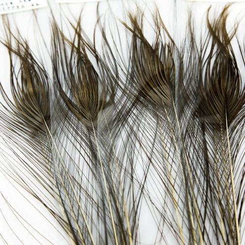 STRIPPED PEACOCK EYE XL