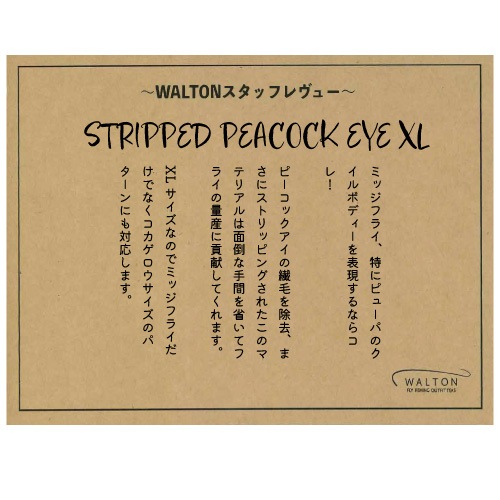 STRIPPED PEACOCK EYE XL